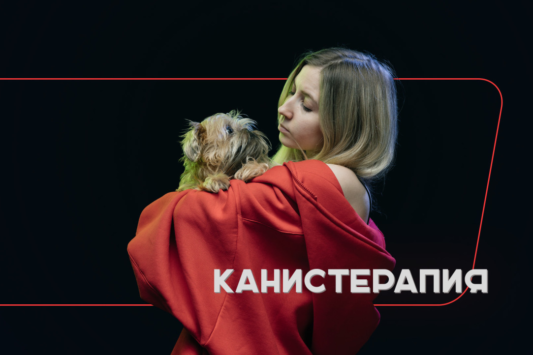 Higher and dog-friendly: канистерапия в Вышке